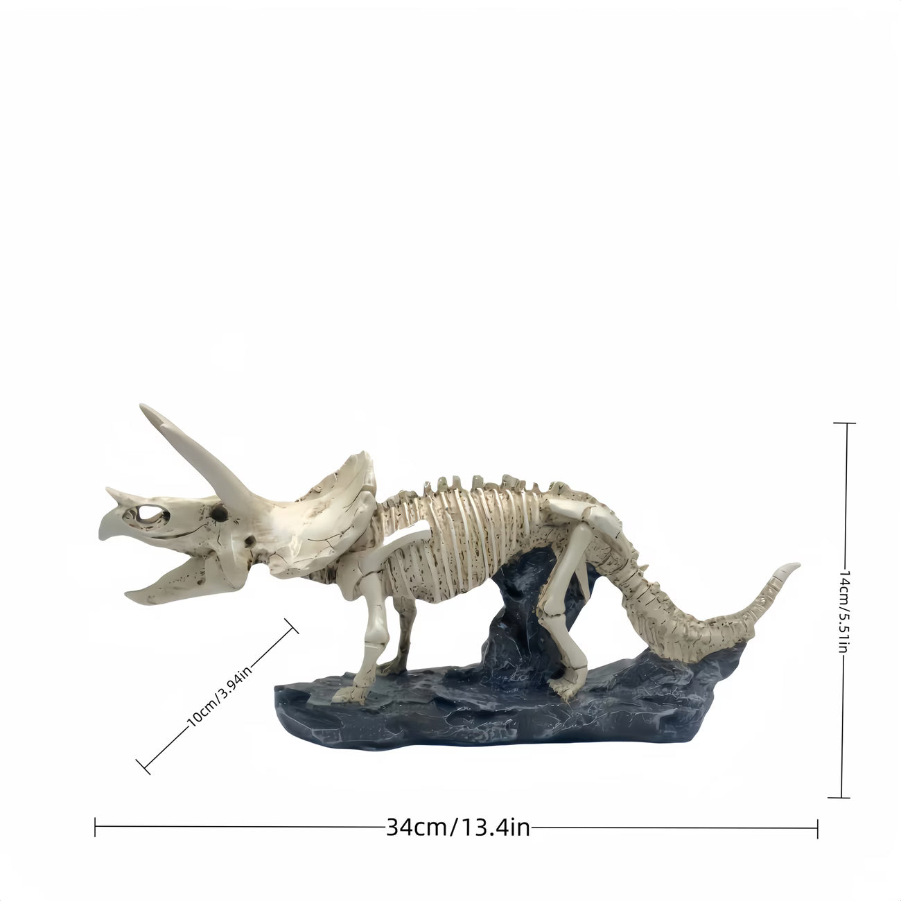 Triceratops Skeleton Sculpture